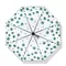 Marijuana Cannabis Hemp Leaf Umbrella Compact Folding Rain Shield Accessory Protection Windproof Lightweight Umbrella supplier